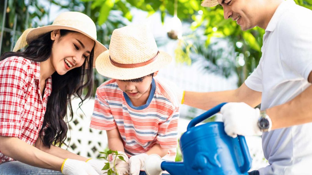 Gerakan-1-Juta-Pohon-Dimulai-dari-Rumahmu-Sendiri-Yuk